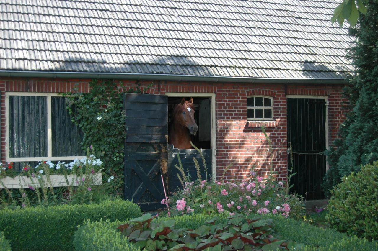 Erve Het Roolvink Boerderij Appartementen 40-50 M2 Enschede Esterno foto