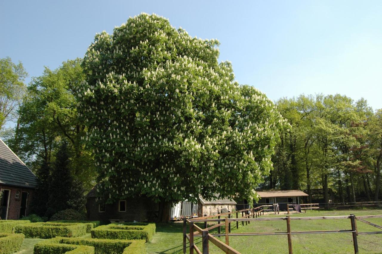 Erve Het Roolvink Boerderij Appartementen 40-50 M2 Enschede Esterno foto