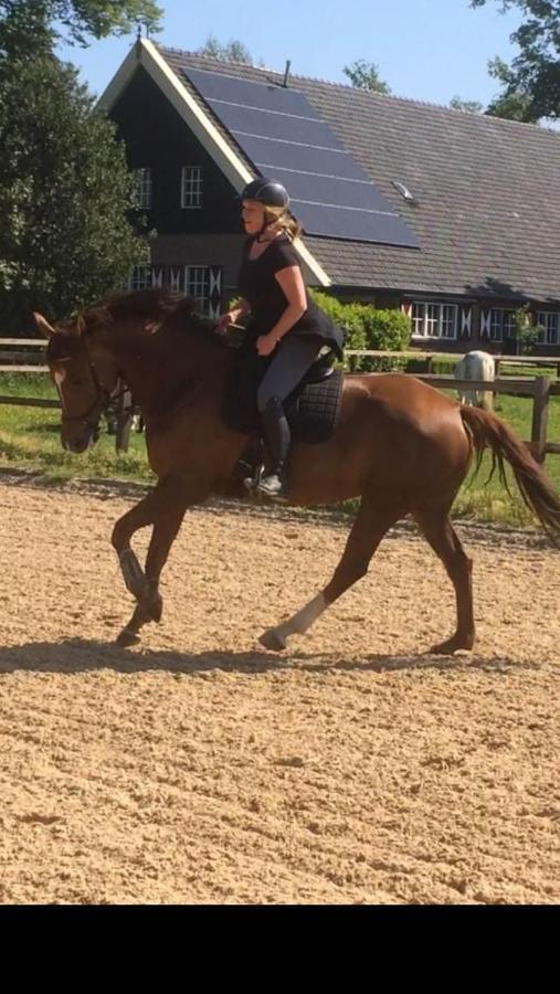 Erve Het Roolvink Boerderij Appartementen 40-50 M2 Enschede Esterno foto
