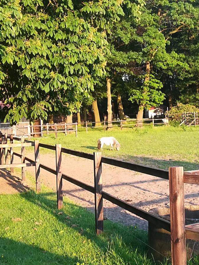 Erve Het Roolvink Boerderij Appartementen 40-50 M2 Enschede Esterno foto