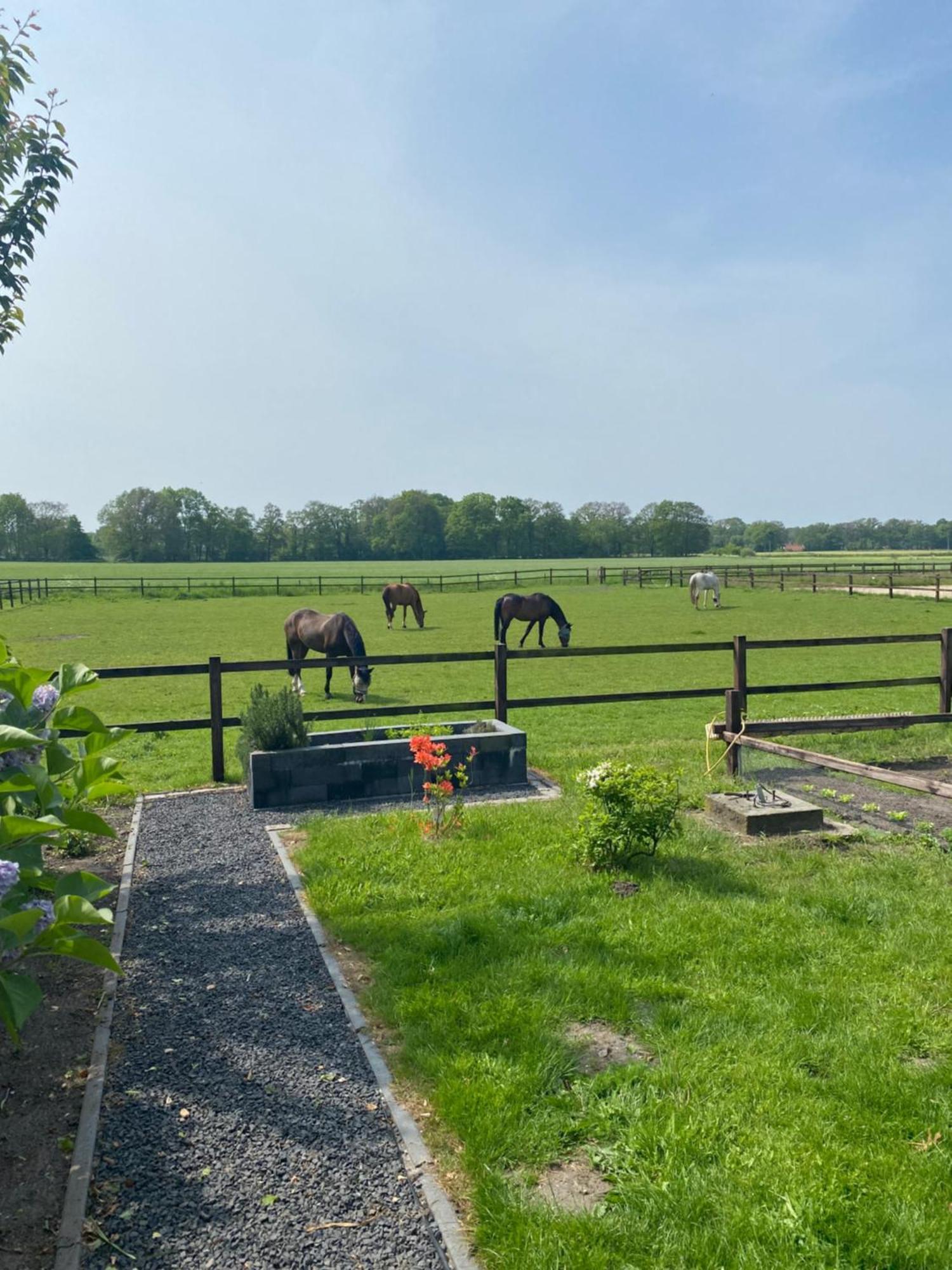 Erve Het Roolvink Boerderij Appartementen 40-50 M2 Enschede Esterno foto