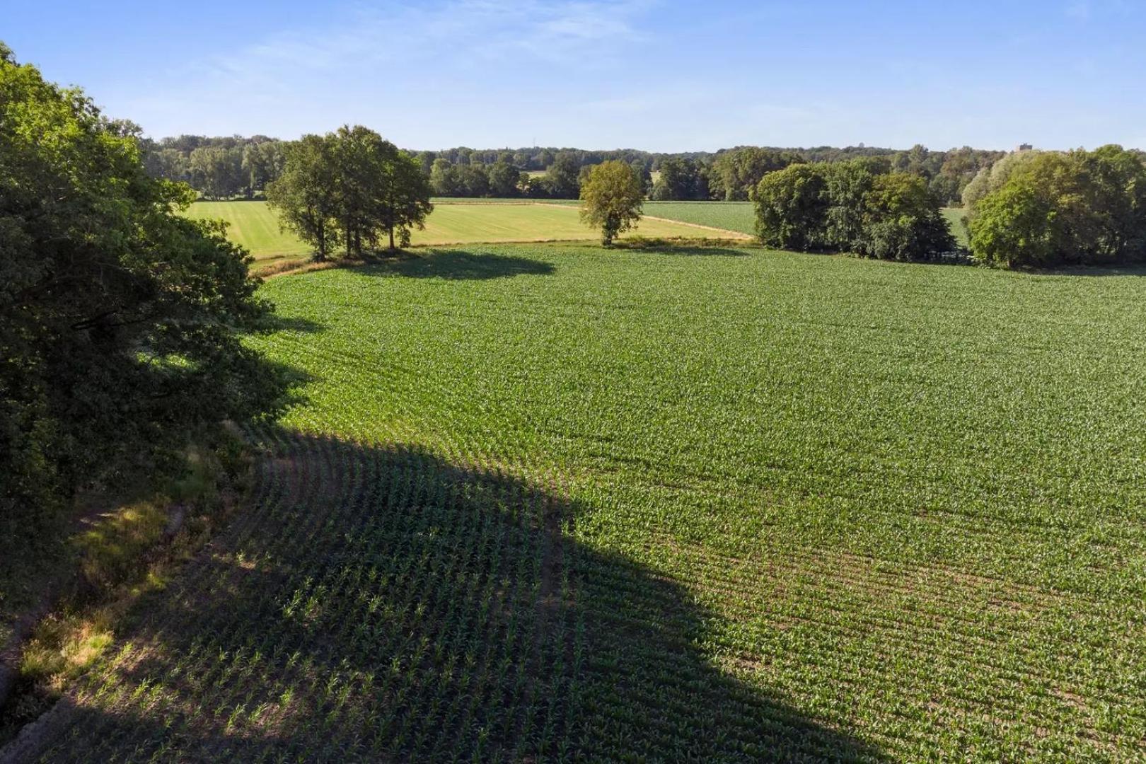 Erve Het Roolvink Boerderij Appartementen 40-50 M2 Enschede Esterno foto